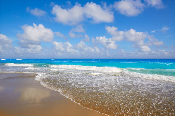 istock Palm Beach beach coastline Florida US 909461544