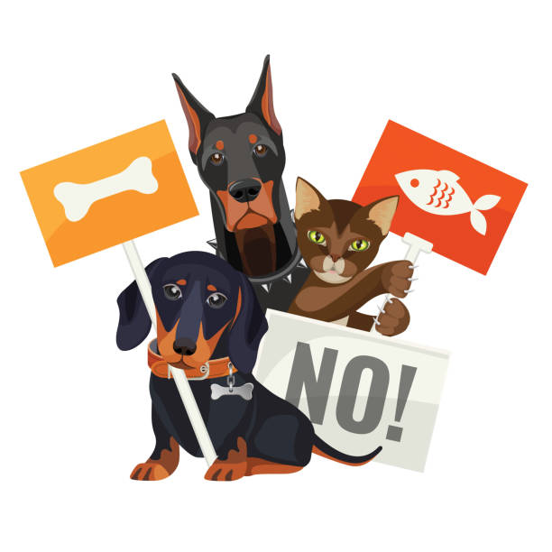 ilustrações, clipart, desenhos animados e ícones de não há assédio moral dos animais, protestando contra os gatos e cães com placas - protestor protest sign strike