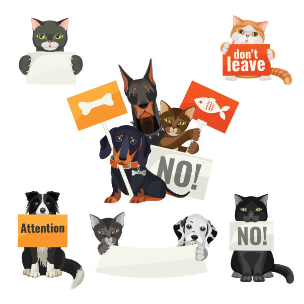 ilustrações de stock, clip art, desenhos animados e ícones de no bullying of animals, protesting cats and dogs with boards - protestor protest sign strike