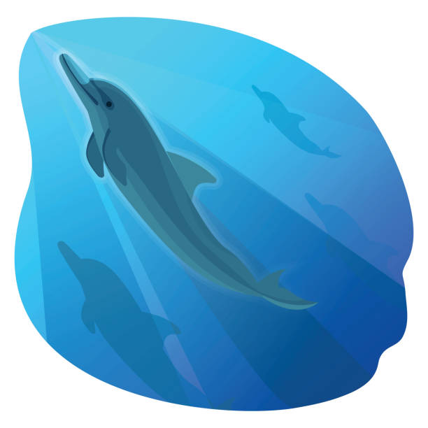 istock Playful dolphin swimming in blue deep sea and his friends 909462522