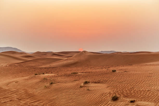 bellissime dune di sabbia nel deserto. - 4x4 rally car racing car desert foto e immagini stock