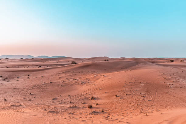 istock Beautiful sand dunes in the desert. 909462754