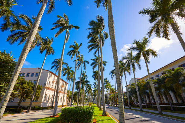 Palm Beach Royal Palm Way Florida Us Stock Photo - Download Image Now - Royal  Palm, Beach, Florida - US State - iStock
