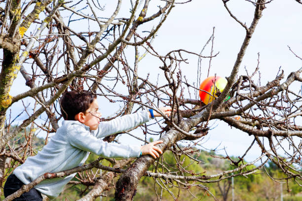 istock Boy trying to recover a ball 909469532
