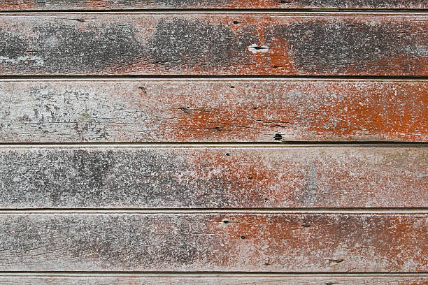 地衣類で覆われた木製の壁 ストックフォト