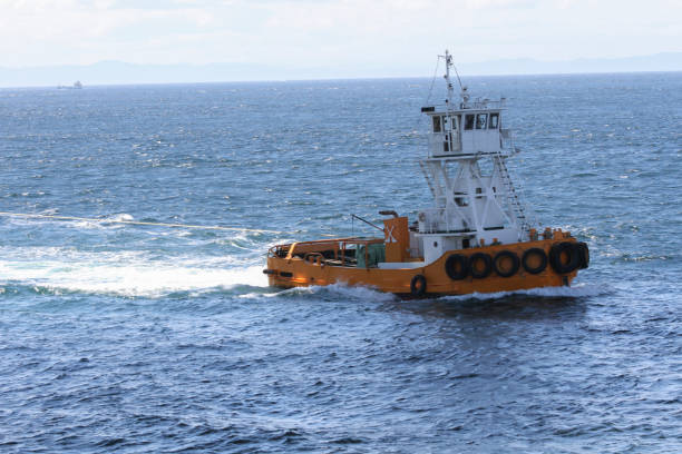 istock Tugboat sailing in the sea. 909469864