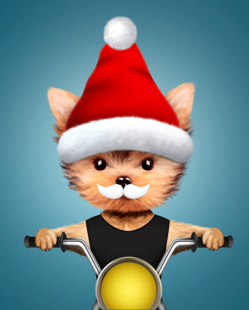 istock Cute Dogs Santa on a chopper. Christmas concept 909470030