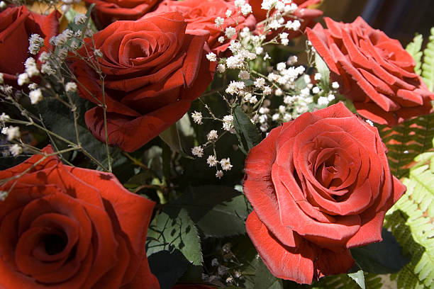 istock Bunch of red roses 90947364