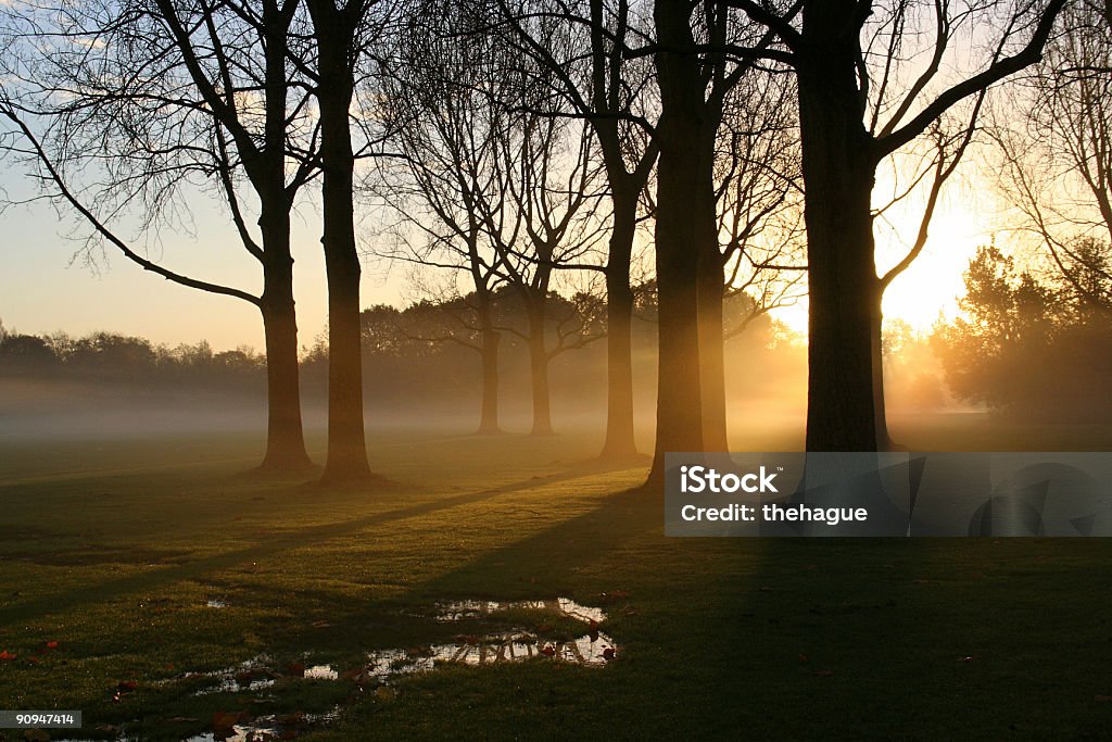 Amanecer en el Parque - Foto de stock de Bajo - Posición descriptiva libre de derechos