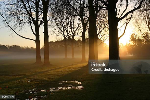 Amanecer En El Parque Foto de stock y más banco de imágenes de Bajo - Posición descriptiva - Bajo - Posición descriptiva, Caer, Color - Tipo de imagen