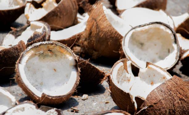 istock dry coconut after burn for make coconut oil 909474744
