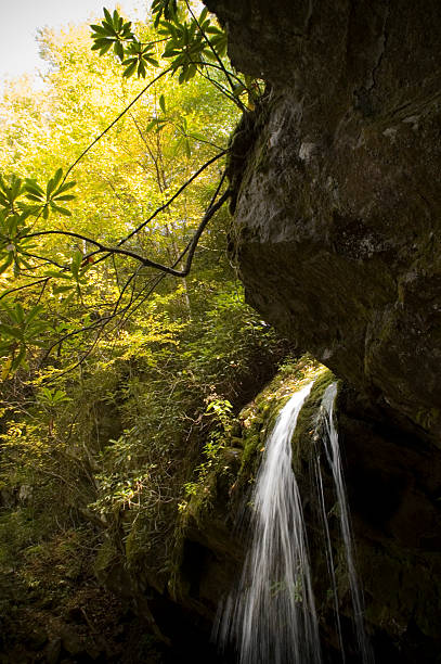 洞窟の滝 - grotto falls ストックフォトと画像