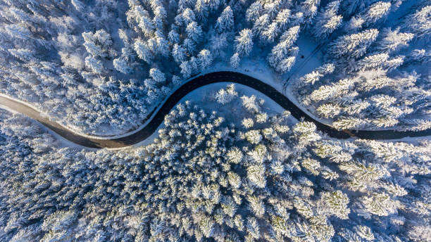 Winding road through a winter forest. stock photo