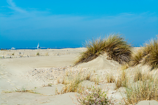 Nice white sand beach at Le Grau du Roi, France's Languedoc coast, is known as Plage de l'Espiguette near Port Camargue