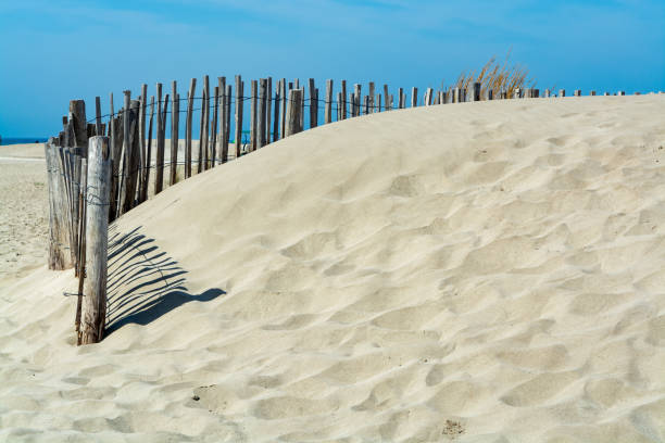 istock Nice white sand beach at Le Grau du Roi, France's Languedoc coast, is known as Plage de l'Espiguette near Port Camargue 909482544