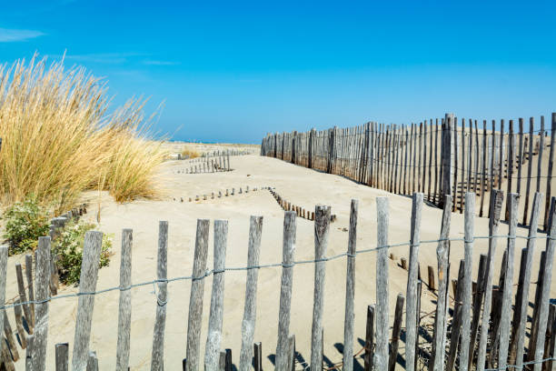 istock Nice white sand beach at Le Grau du Roi, France's Languedoc coast, is known as Plage de l'Espiguette near Port Camargue 909482546