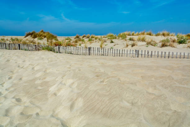 istock Nice white sand beach at Le Grau du Roi, France's Languedoc coast, is known as Plage de l'Espiguette near Port Camargue 909482550