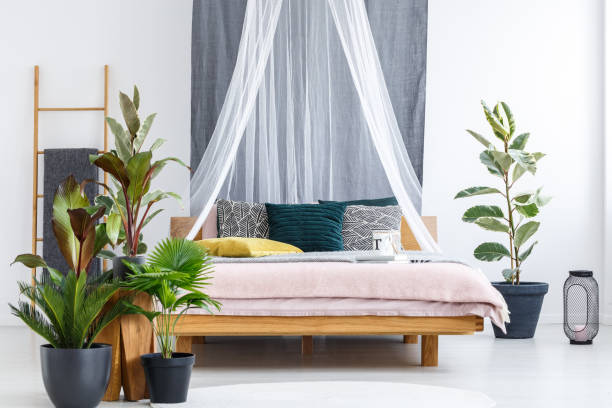 istock Plants in cozy bedroom interior 909486748