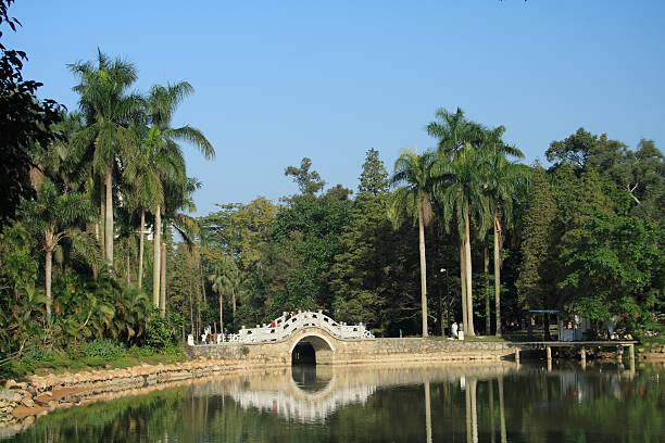 Paesaggio subtropicale - foto stock