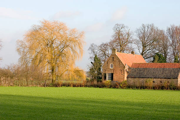 Weeds and trees are taking over the territory of the former village