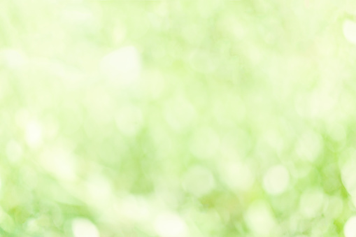 Abstract Natural Bokeh, green blurred bokeh.  Nature Spring  background.