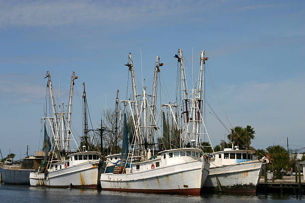 istock fishing boats 90949204