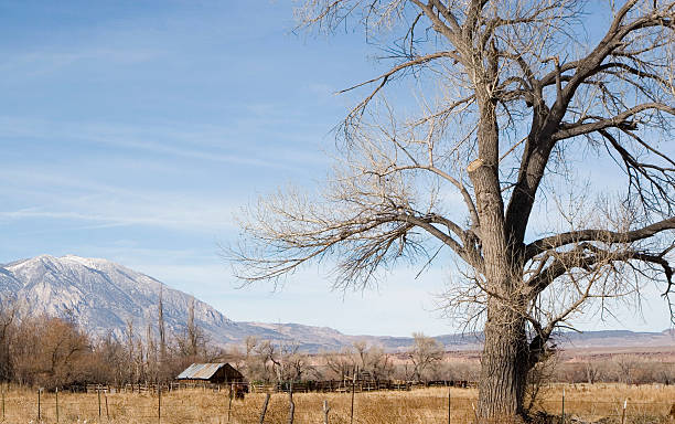 istock RURAL COUNTRY SCENIC 90949370
