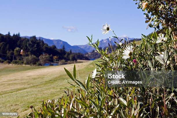 Photo libre de droit de Parcours De Golf En Patagonie banque d'images et plus d'images libres de droit de Argentine - Argentine, Bariloche, Chaîne de montagnes