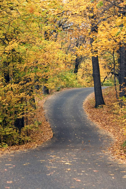 istock Uphill Winding Autumn Canopied Road 90949935