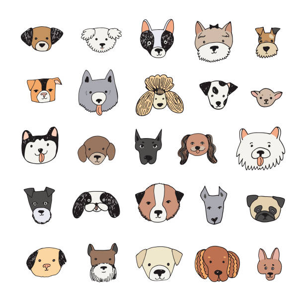 dog face cartoon vector illustrations set dog face cartoon vector doodle hand drawn illustrations set spitz type dog stock illustrations