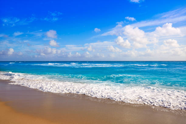 istock Singer Island beach at Palm Beach Florida US 909499982