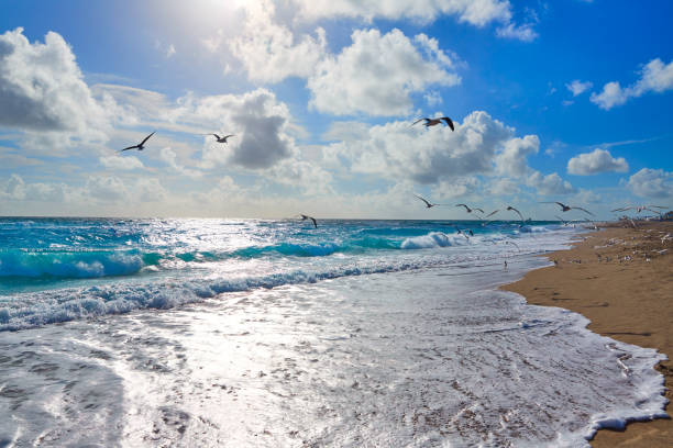 istock Singer Island beach at Palm Beach Florida US 909502378