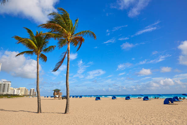 istock Singer Island beach at Palm Beach Florida US 909502822