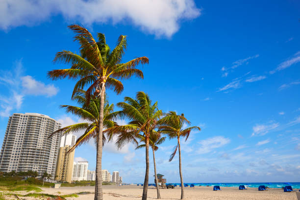 istock Singer Island beach at Palm Beach Florida US 909502920