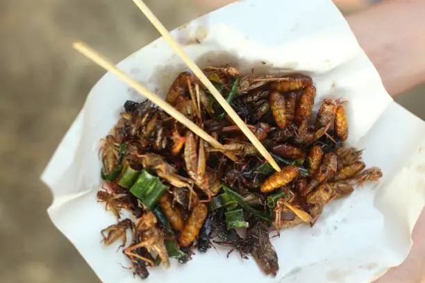silkworm beetle grasshopper mixture roasted with onion close up photo