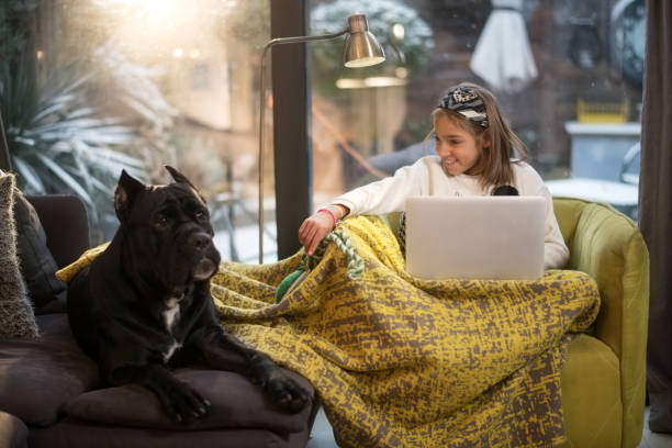 istock Young girl and her dog 909516328