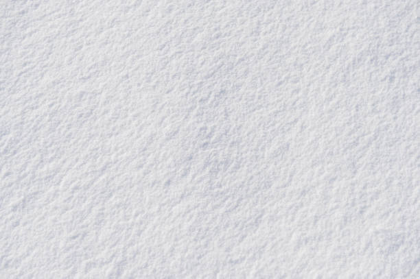 istock white snow surface on a sunny day. Winter day. 909517392