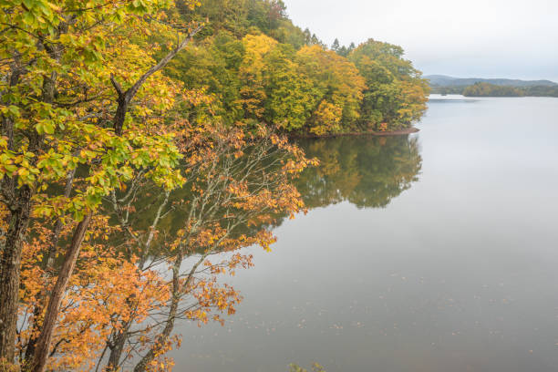 istock nature lake in autumn 909517696