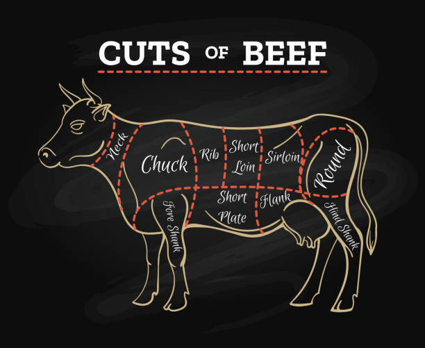 Cow butcher cut beef chalkboard scheme Cow meat steak diagram. Cow butcher cut beef chalkboard scheme for restaurant menu poster, vector illustration chuck drill part stock illustrations