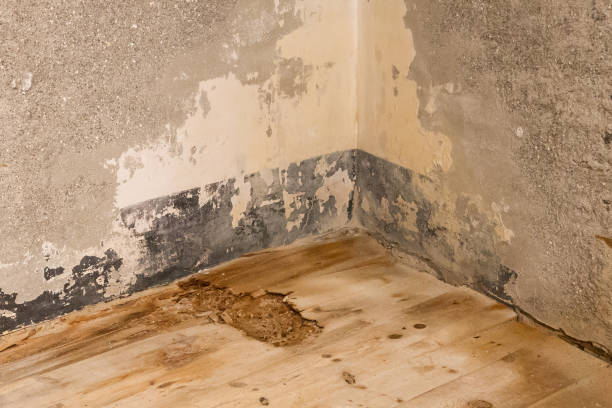 istock Water damaged floor and wall 909519222