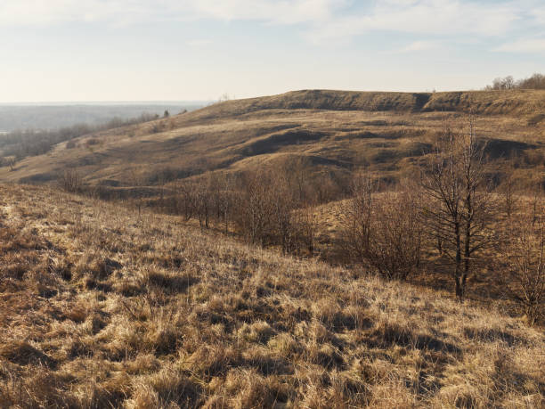 istock Brown hill under the pale sky 909521792