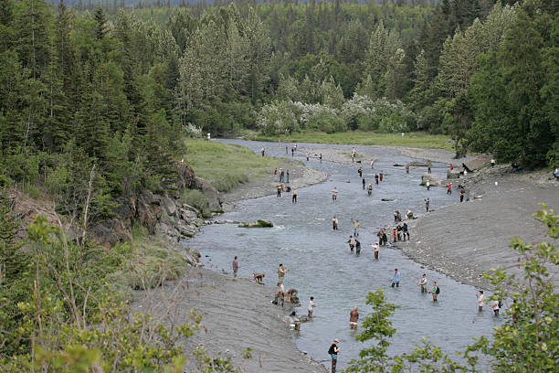 istock Alaskan Fishing 90952565