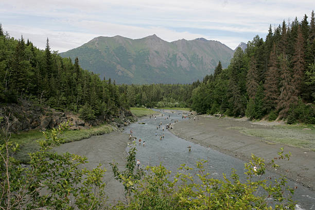 istock Alaskan Fishing 90952567