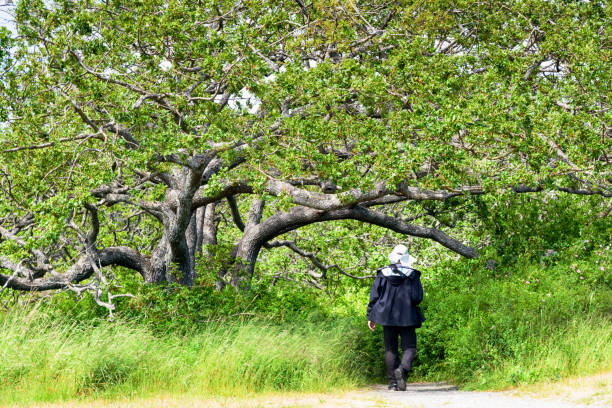 istock A man walking into the forest, British Columbia, Victory, Canada 909526840