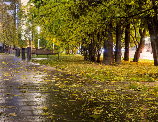 istock park after rain at autumn. background 909533318
