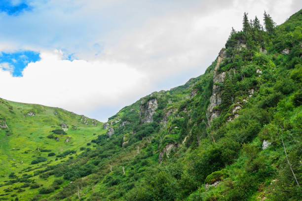 istock green mountains of Ukraine, Carpathians 909547094