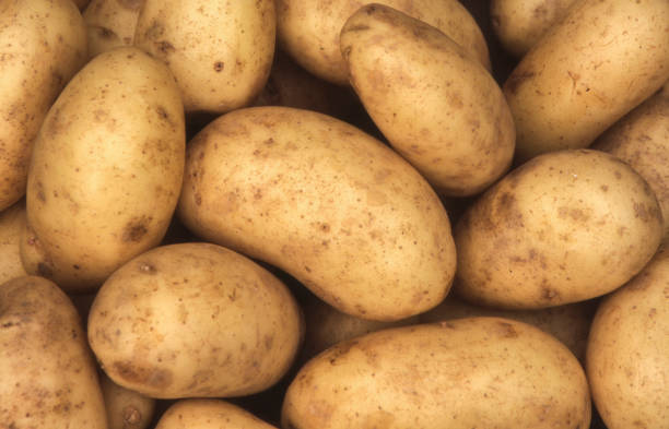 Charlotte potato Charlotte potatoes background which are a popular early variety potato raw potato stock pictures, royalty-free photos & images