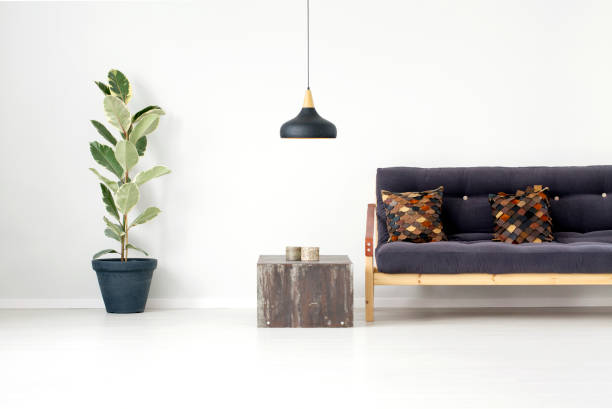istock Ficus tree in living room 909557660