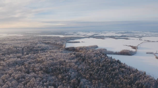 istock Winter landscape with forest, field. Winter landscape 909561616