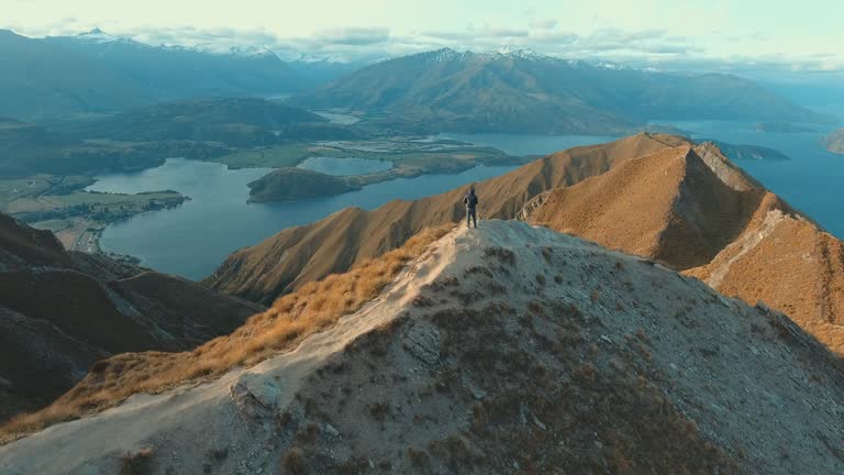 New zealand mountains